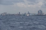 resIMG_20160613_150228_6021.JPG